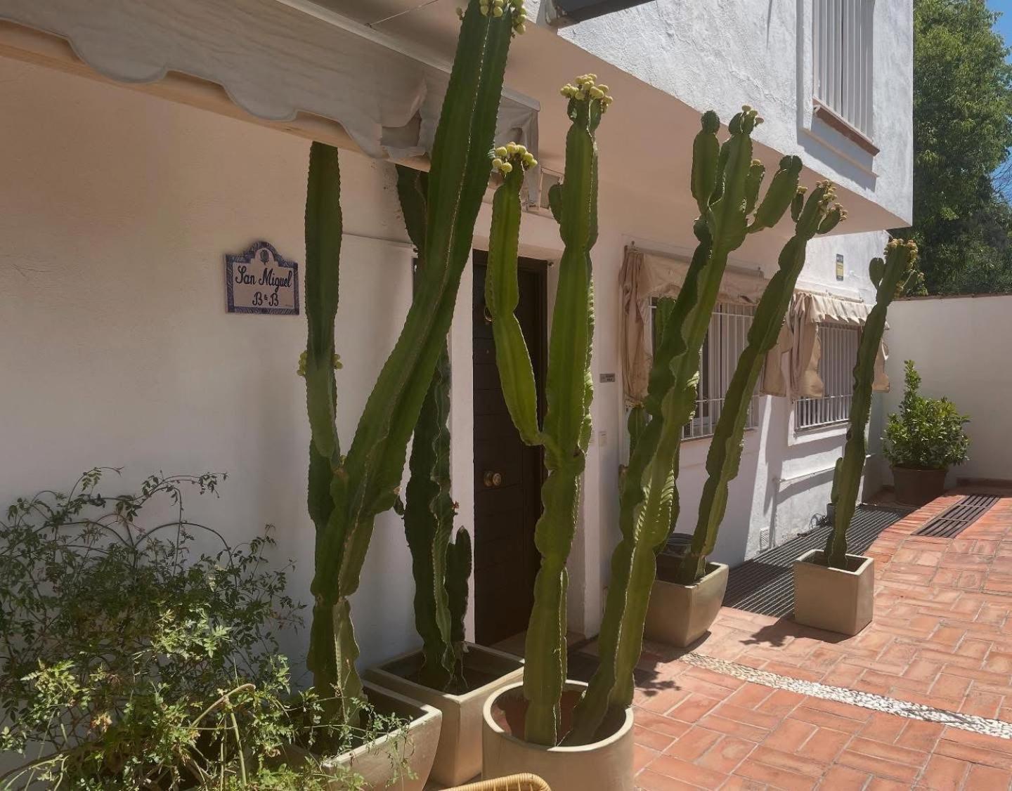 San Miguel B&B Granada Dış mekan fotoğraf